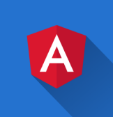 Imagem do Angular 11